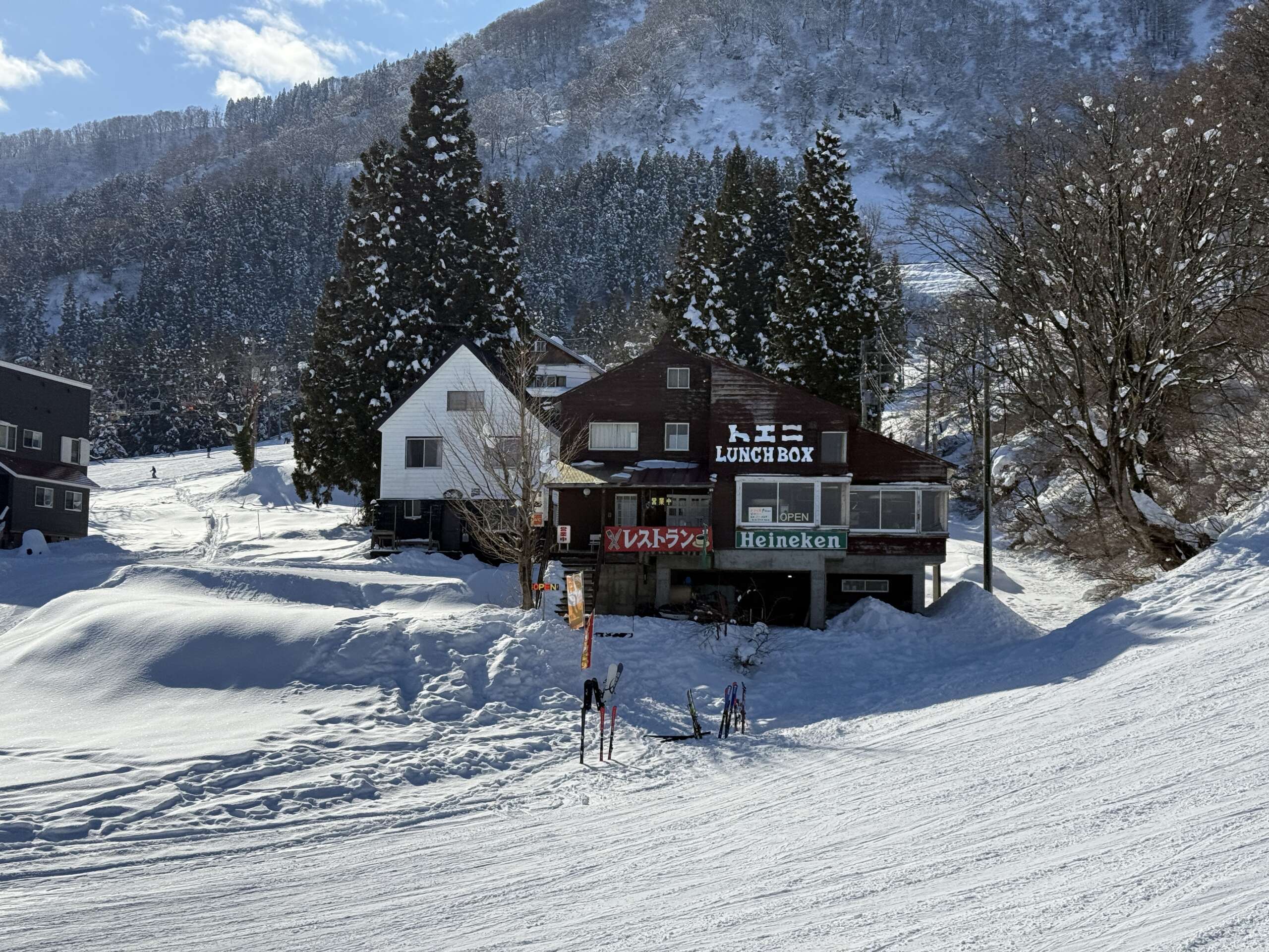 IMG_6707