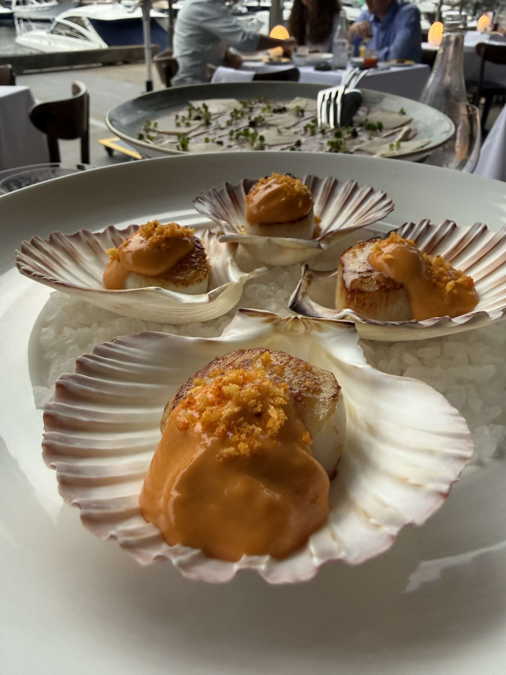 OTTO Ristorante, Woolloomooloo