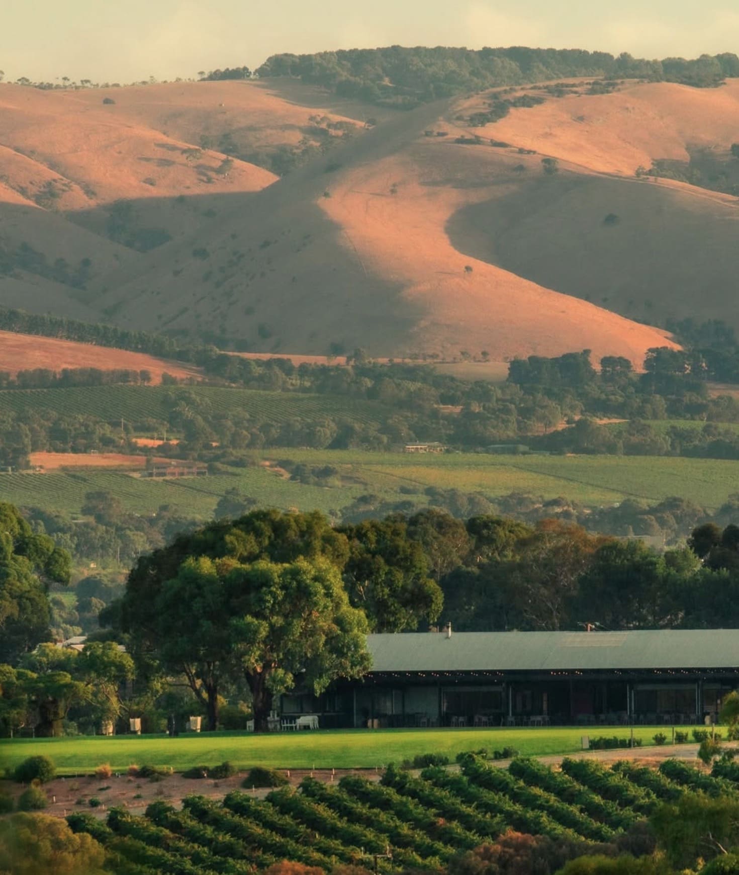 Chalk Hill Winery