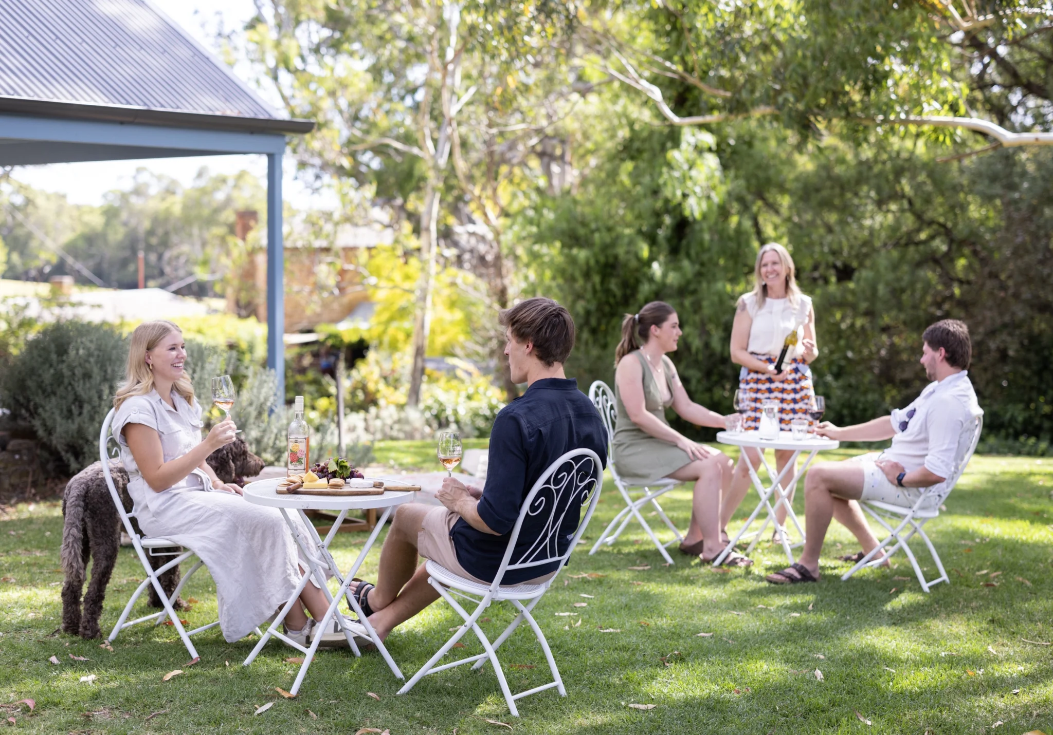 Battle of Bosworth Wines, McLaren Vale SA
