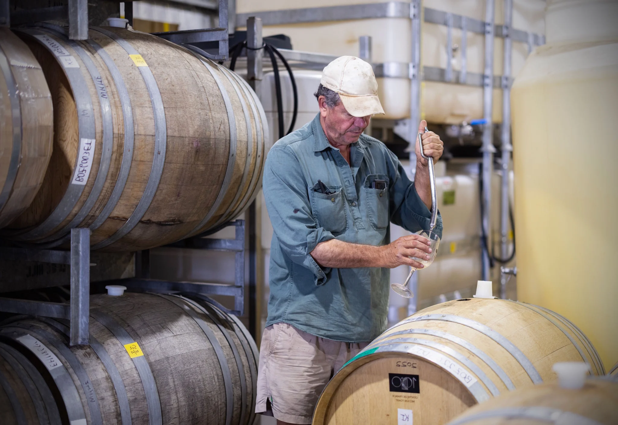 Battle of Bosworth Wines, McLaren Vale SA