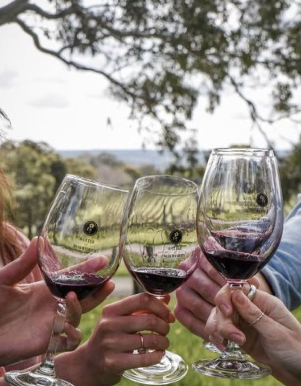 Battle of Bosworth Wines, McLaren Vale SA