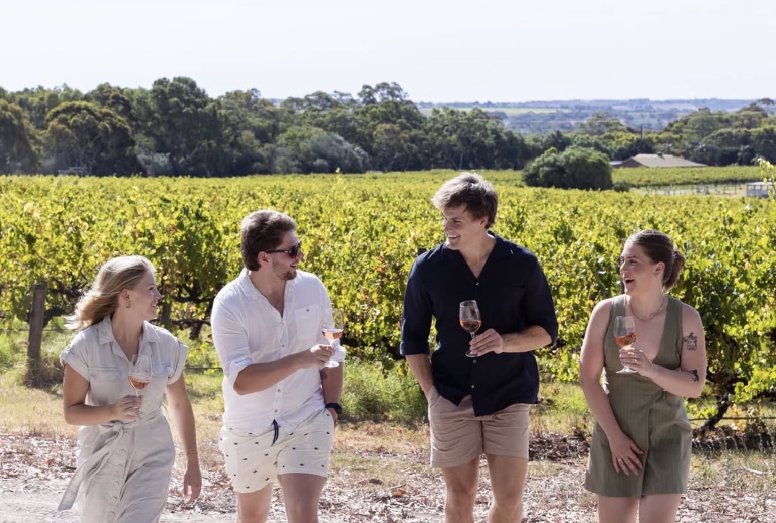 Battle of Bosworth Wines, McLaren Vale SA