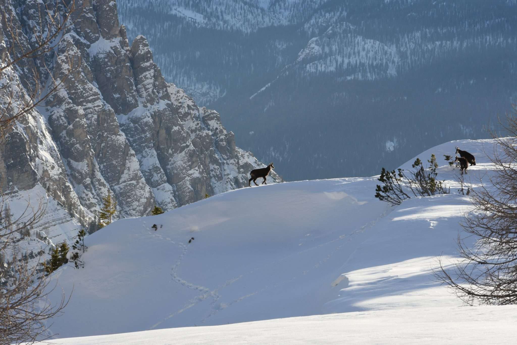 Cortina D’Ampezzo Dolomites