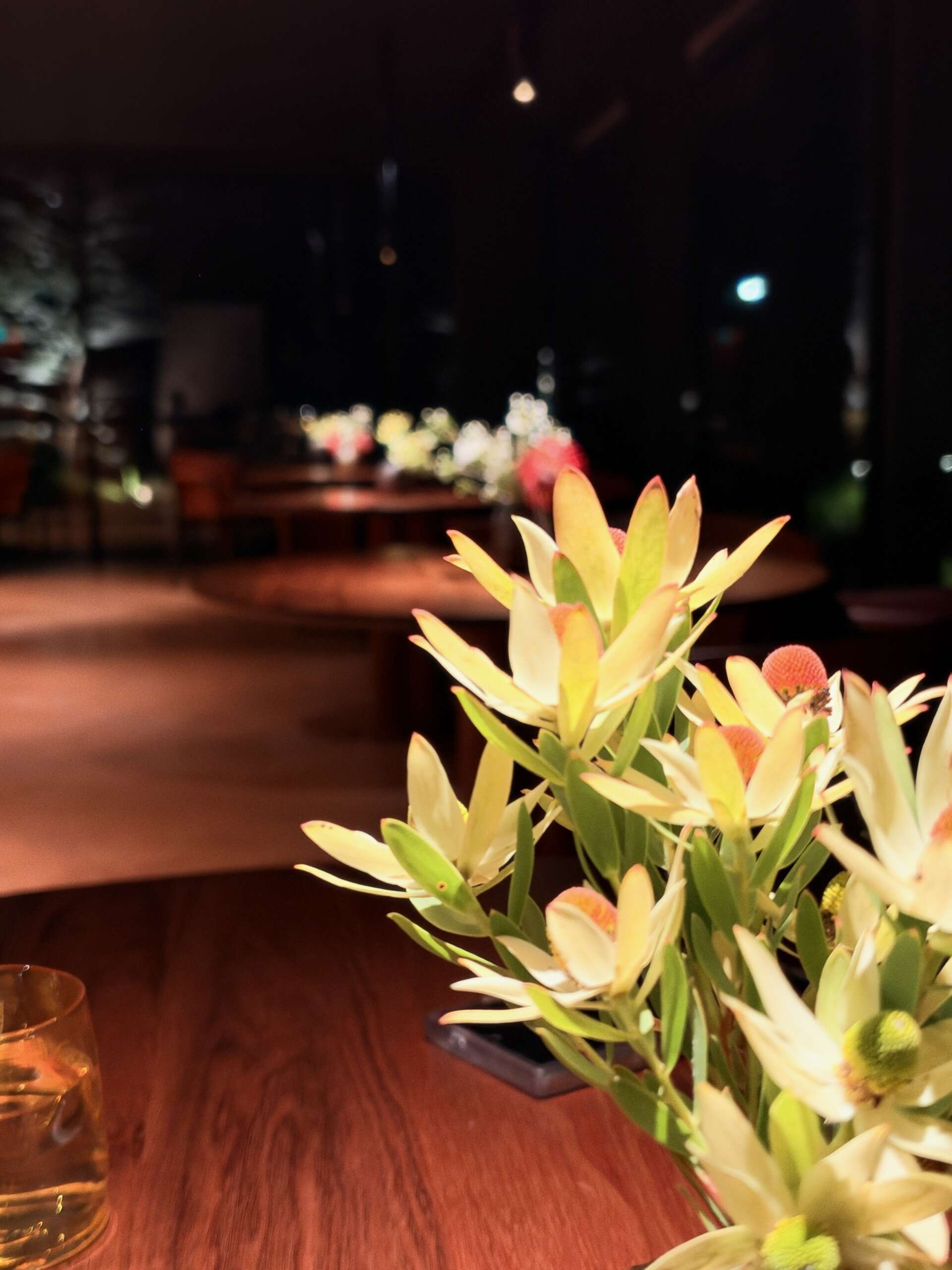 ALMANAK REVIEW > Yiaga, Melbourne 20/20