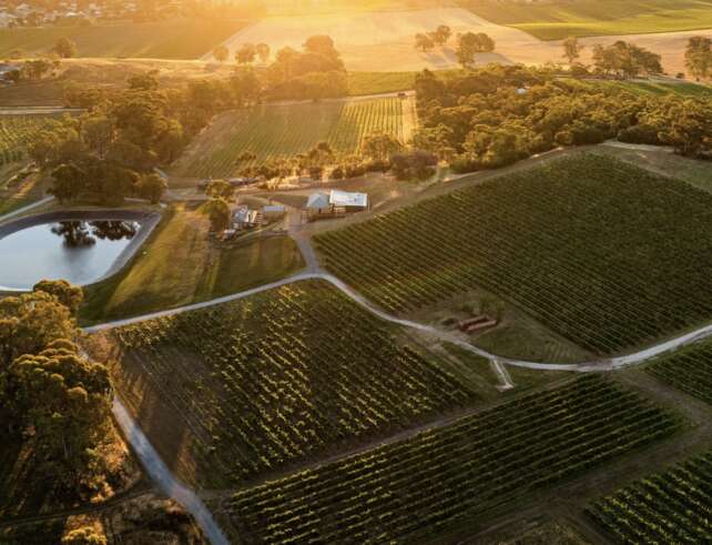 ALMANAK VISIT > Torbreck Vitners, Barossa