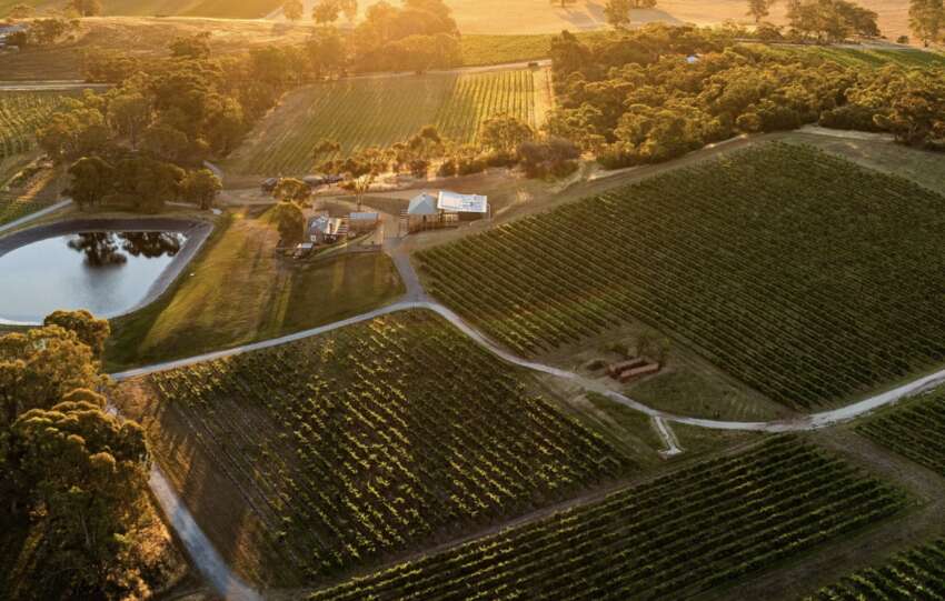 ALMANAK VISIT > Torbreck Vitners, Barossa