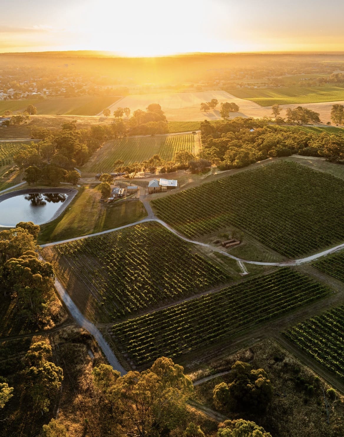 ALMANAK VISIT > Torbreck Vitners, Barossa