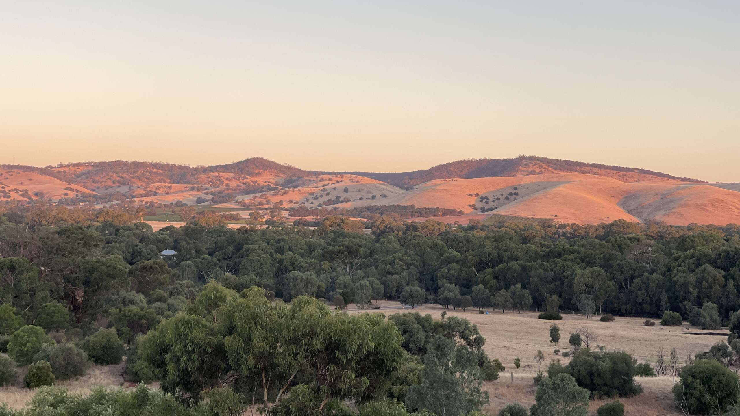 ALMANAK VISIT > Torbreck Vitners, Barossa