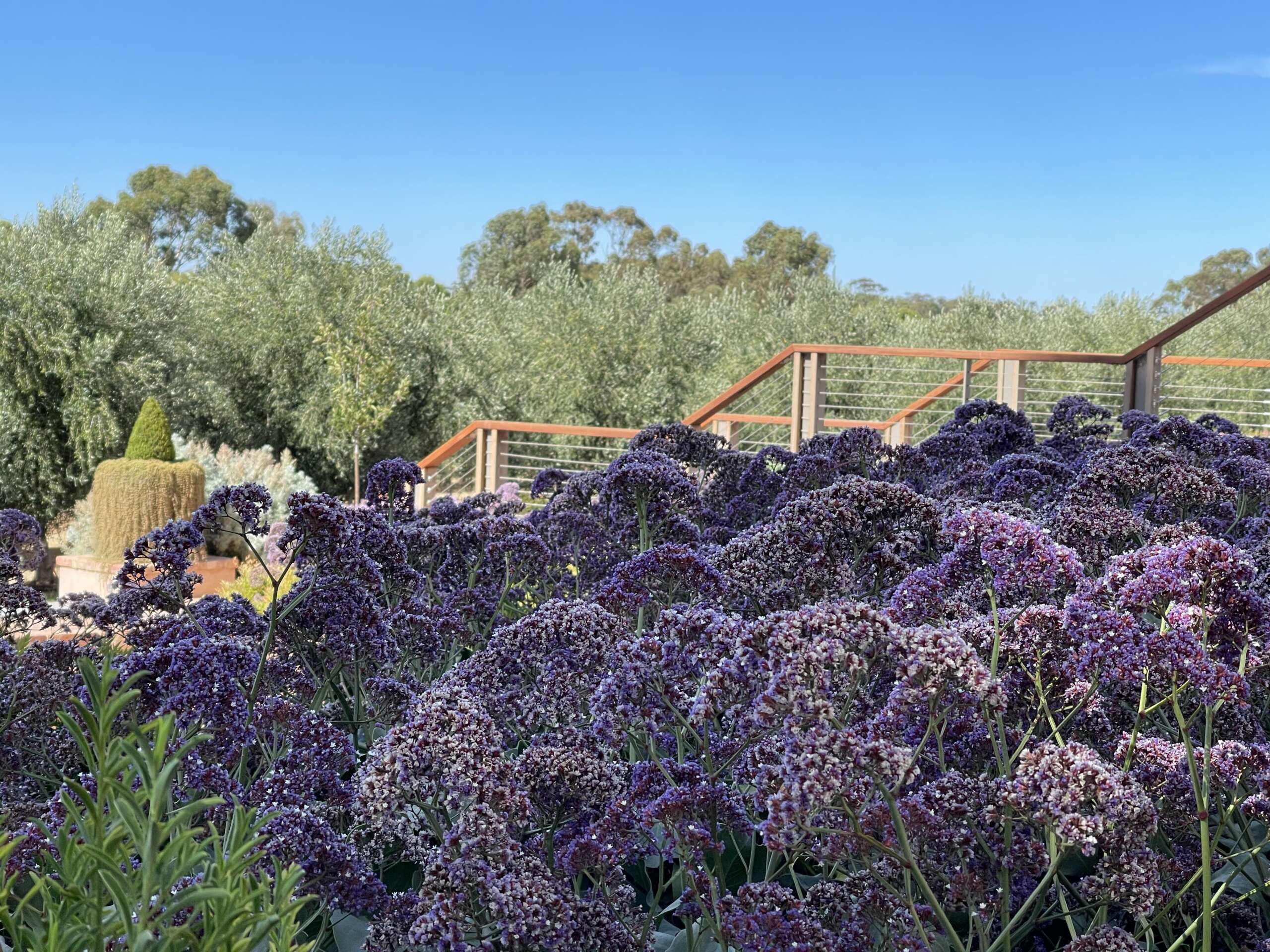 ALMANAK VISIT > Torbreck Vitners, Barossa