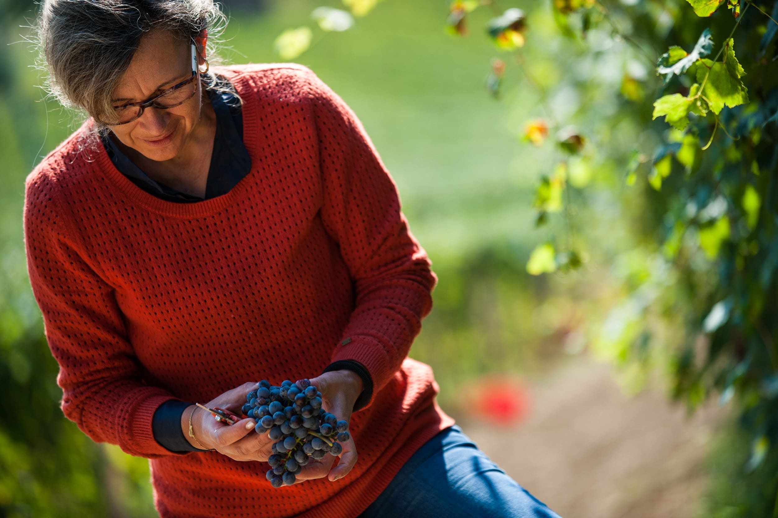 ALMANAK > FIGI LUIGI ODDERO BAROLO