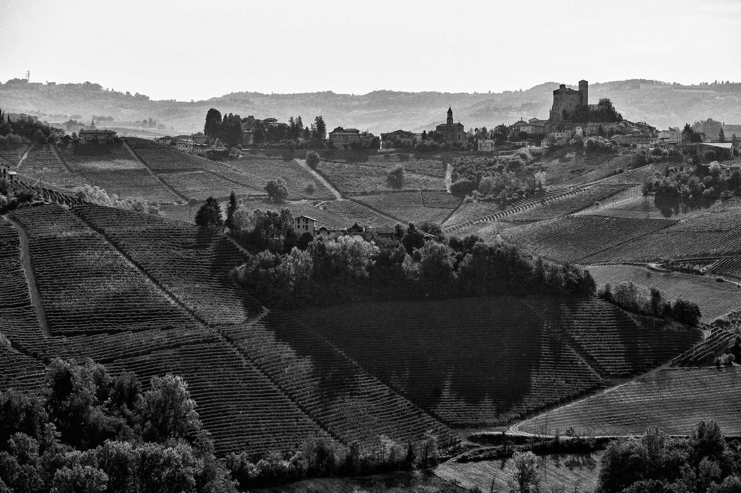 ALMANAK > FIGI LUIGI ODDERO BAROLO