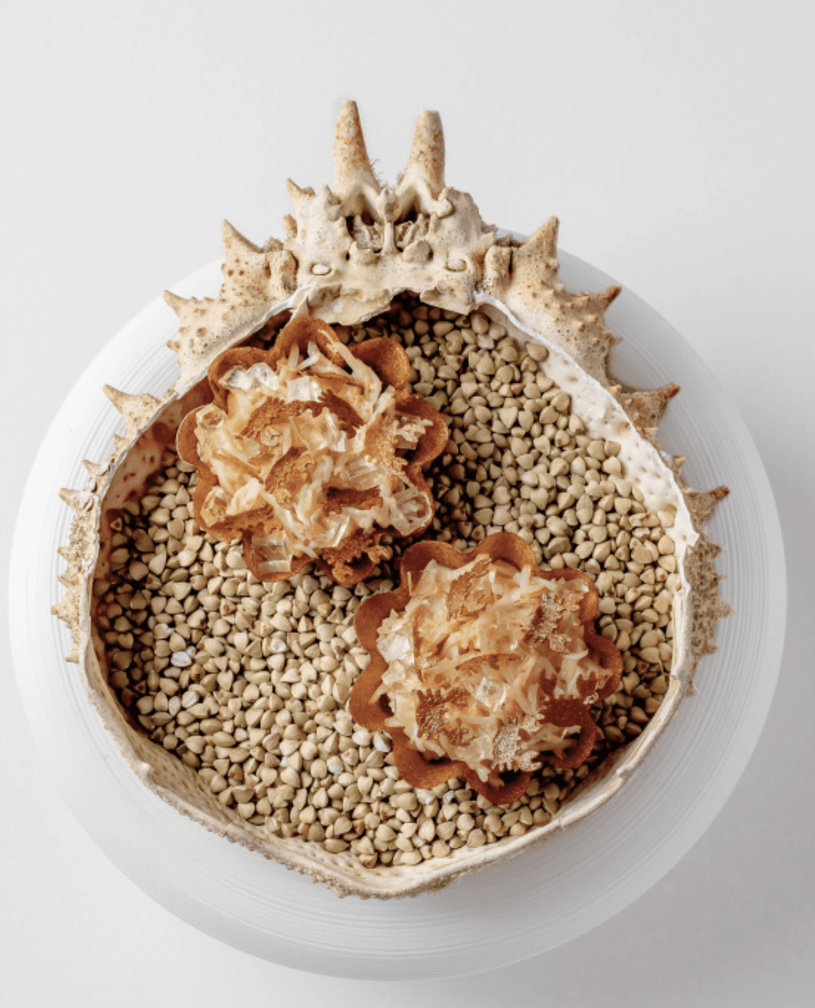 Frog by Adam Handling, Covent Garden
