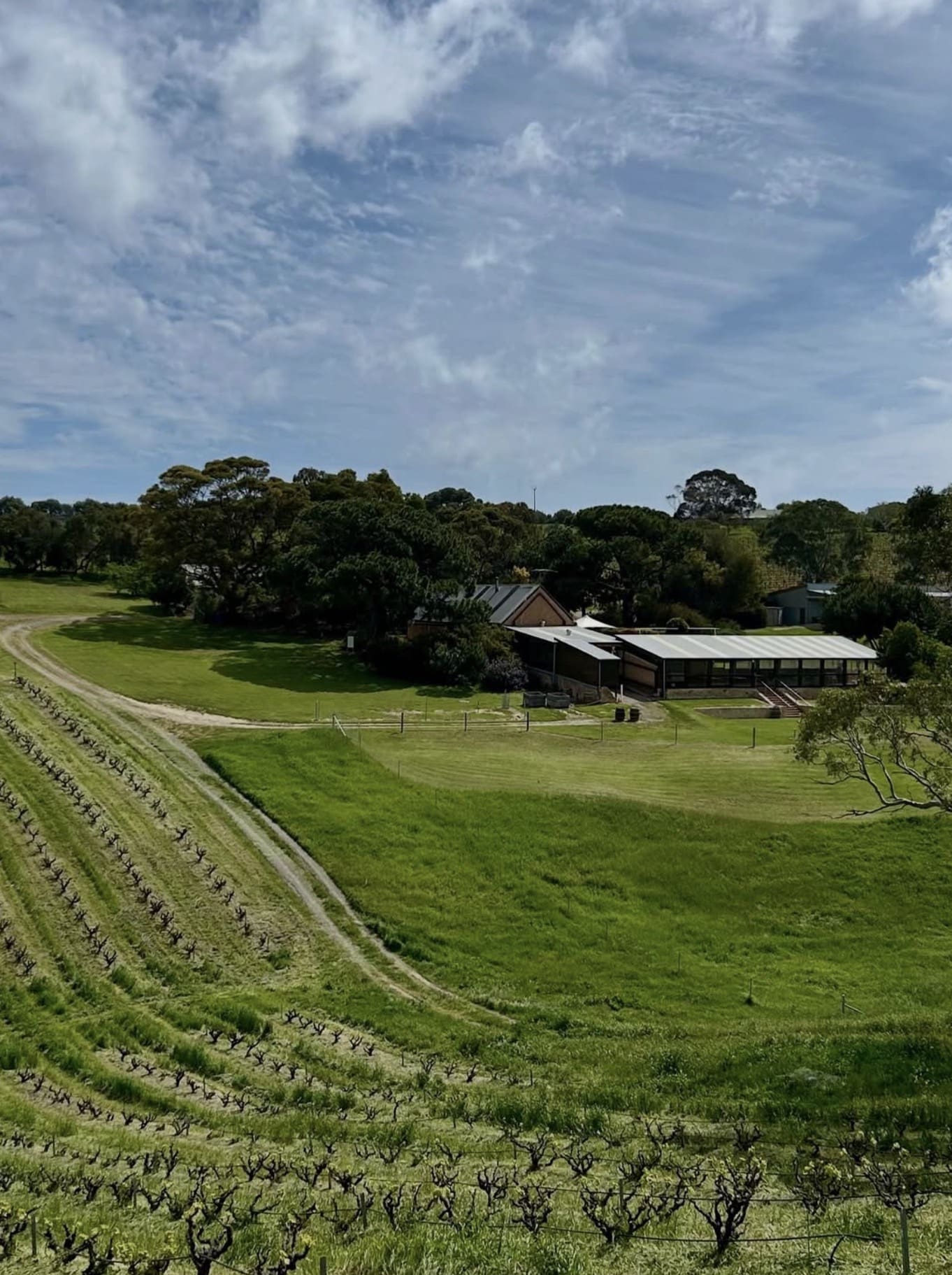 Paxton Winery, McLaren Vale SA