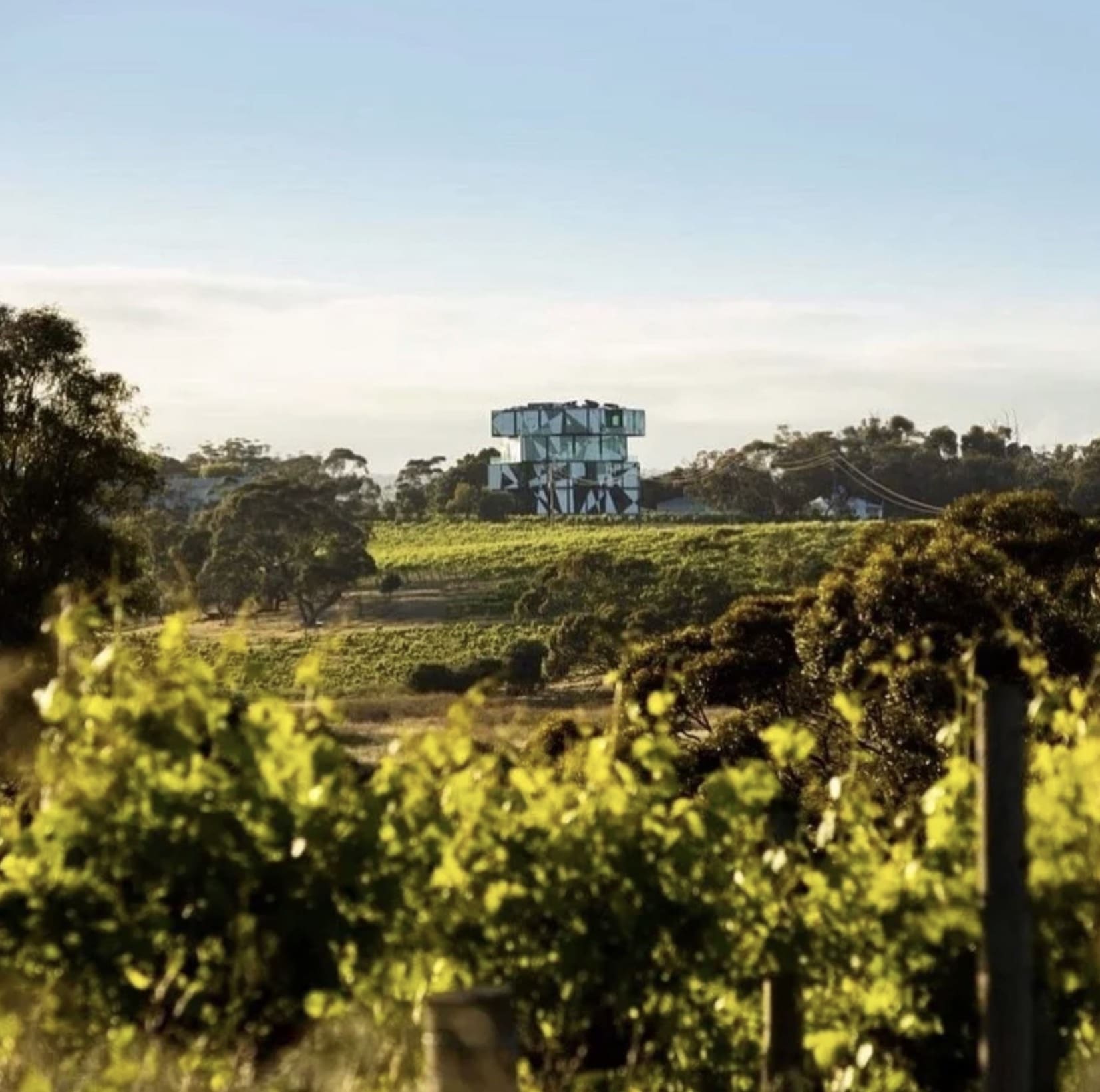 d’Arenberg Wines McLaren Vale, SA