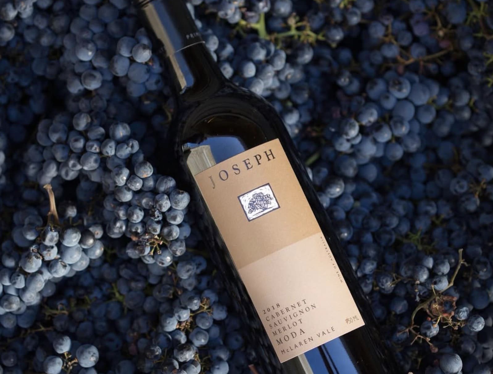 Primo Estate, McLaren Vale SA