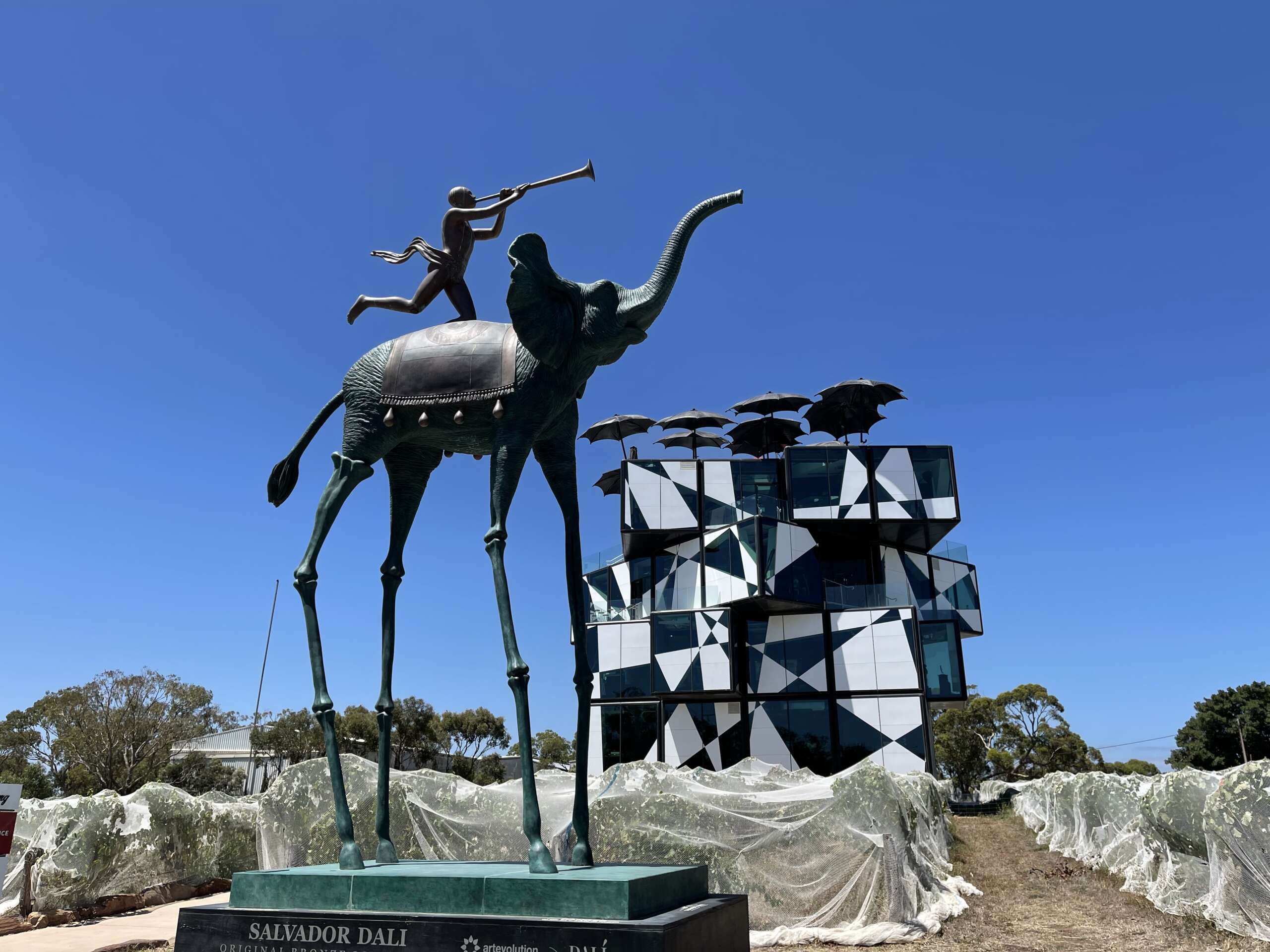 d’Arenberg Wines McLaren Vale, SA