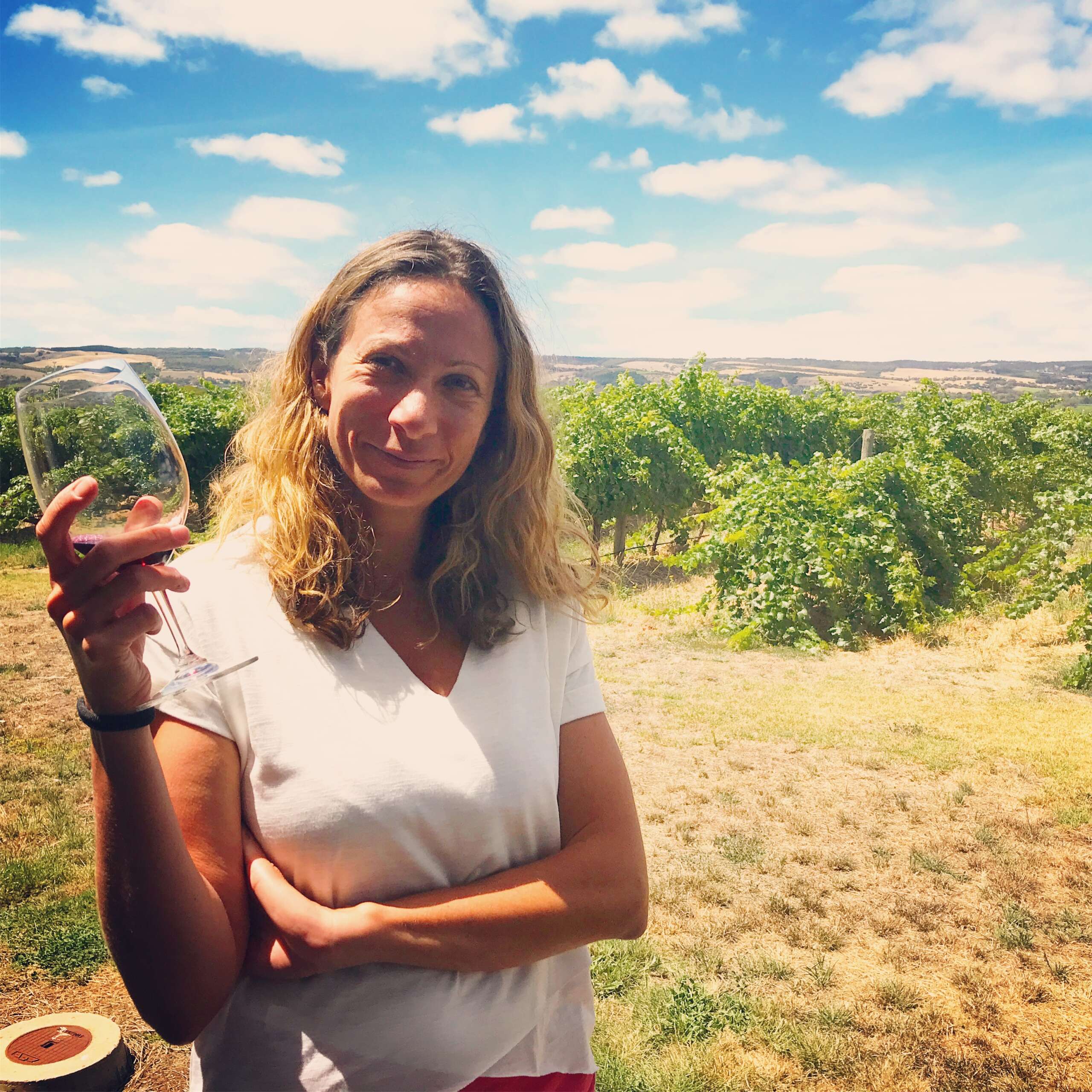 Primo Estate, McLaren Vale SA