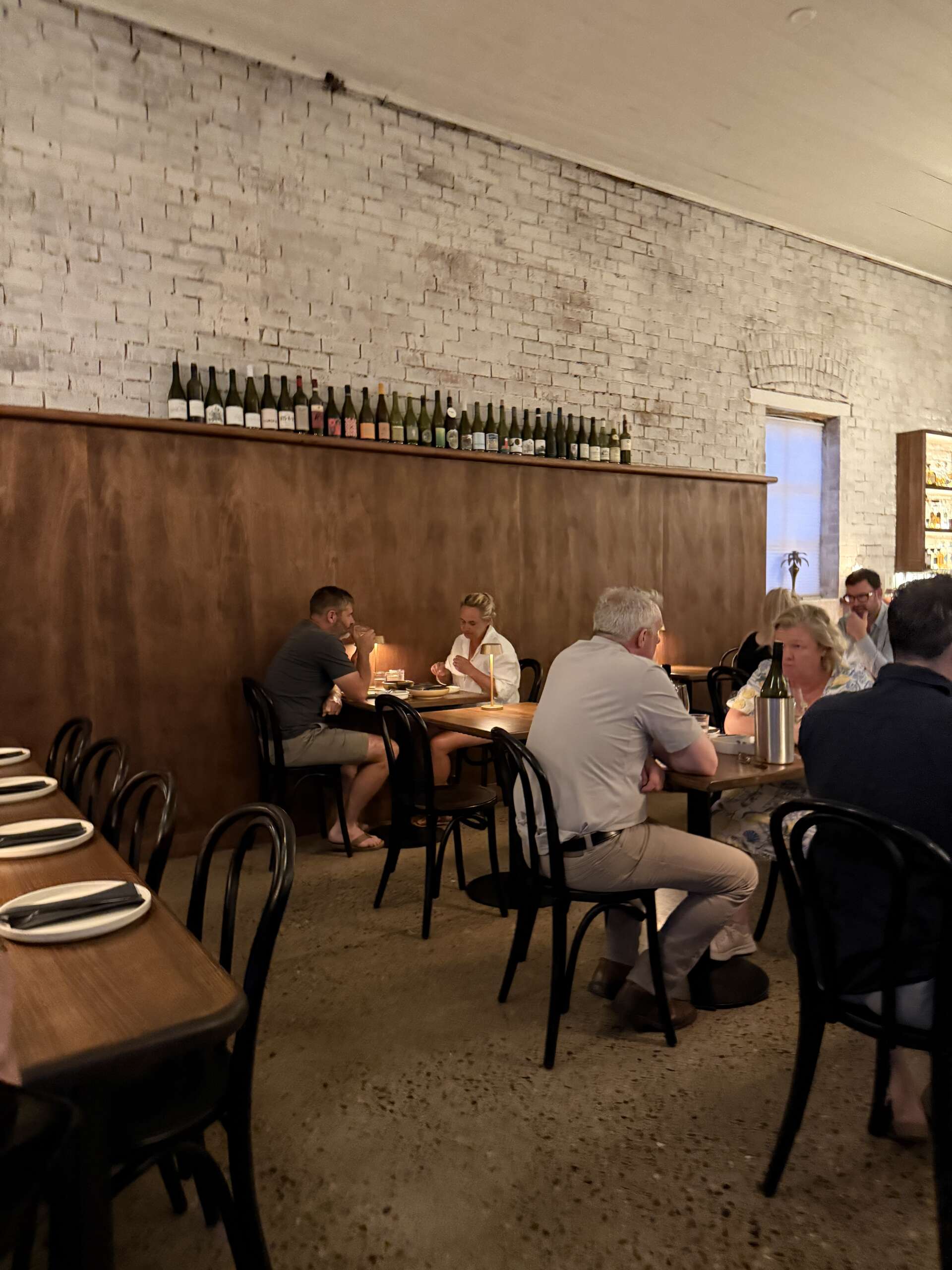 Stallion - Mansfield