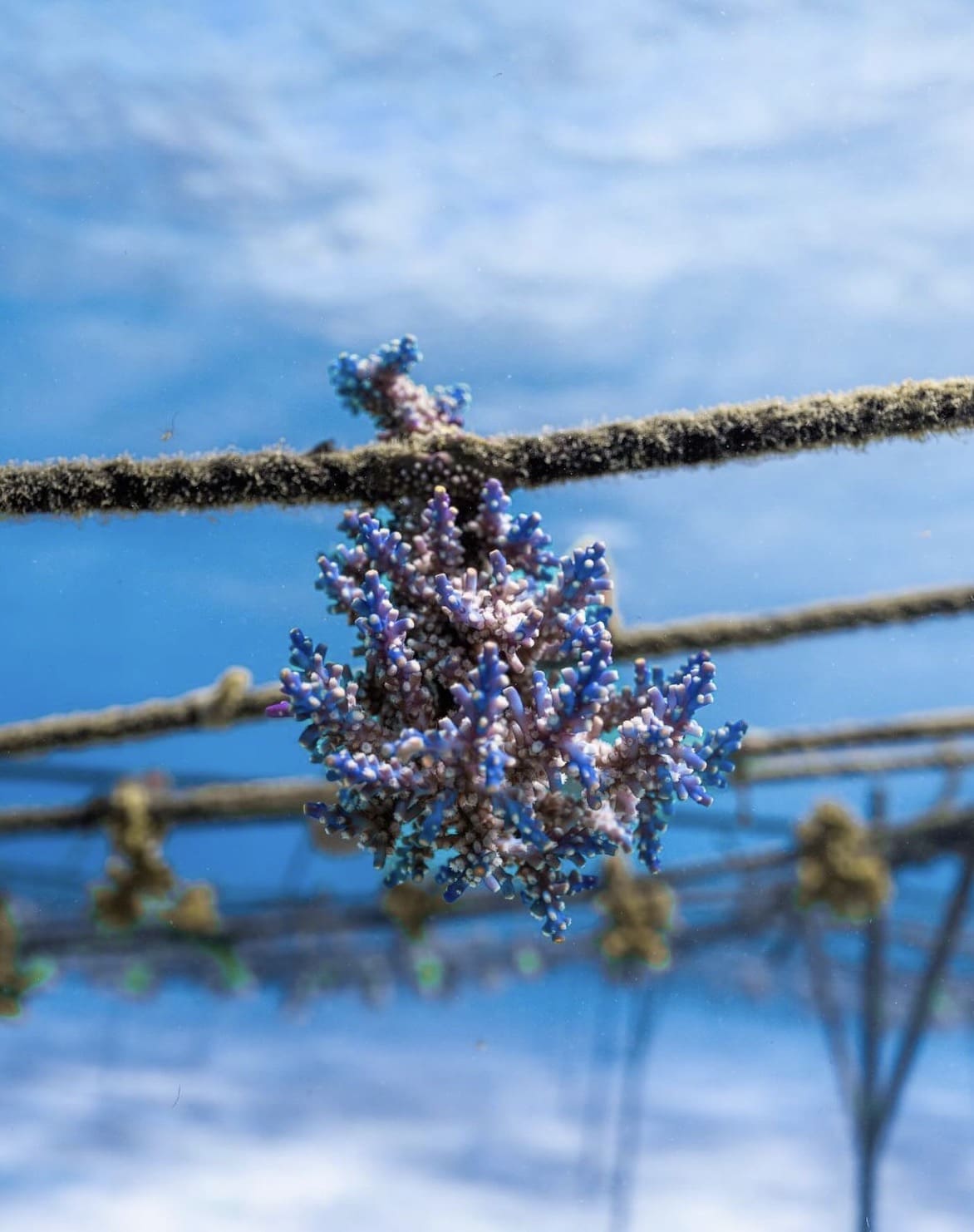 Six Senses Fiji Resort