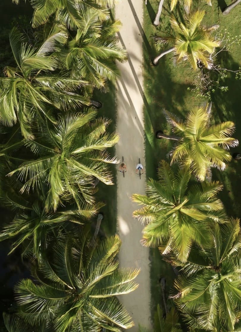 Lomani Island Resort