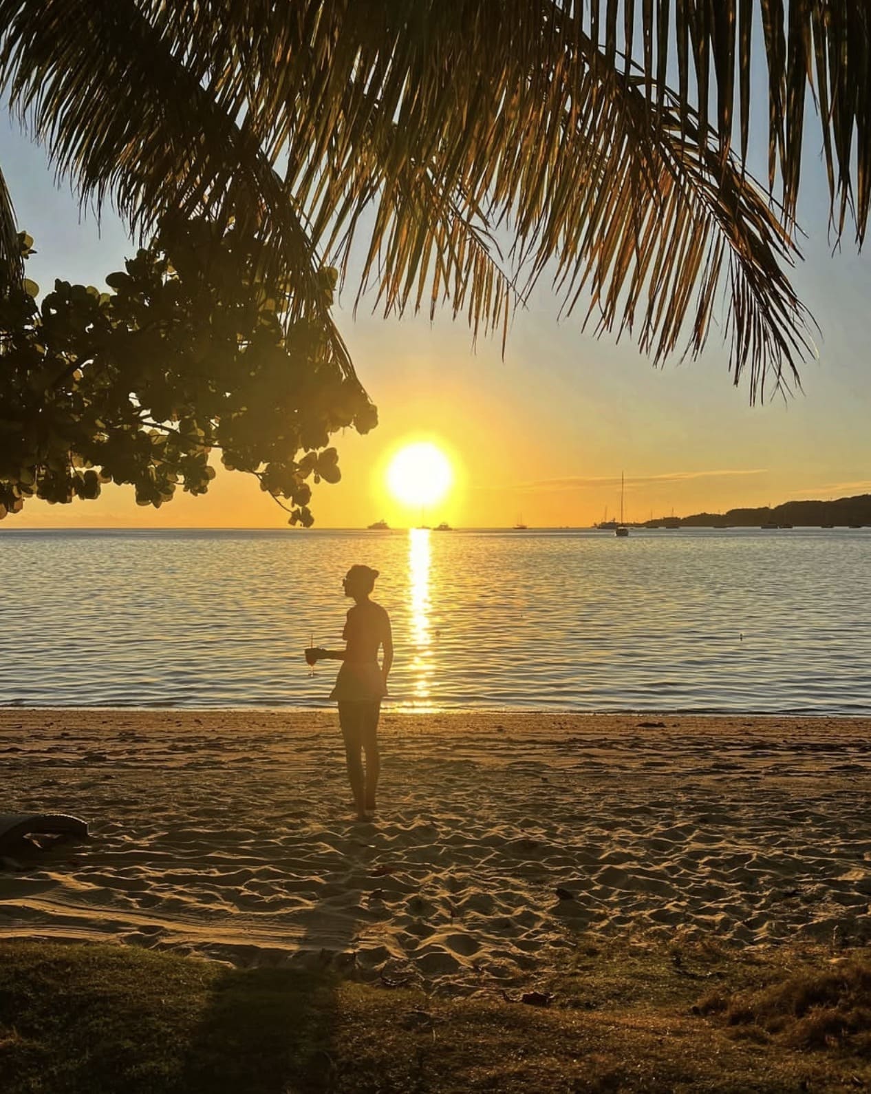 Lomani Island Resort