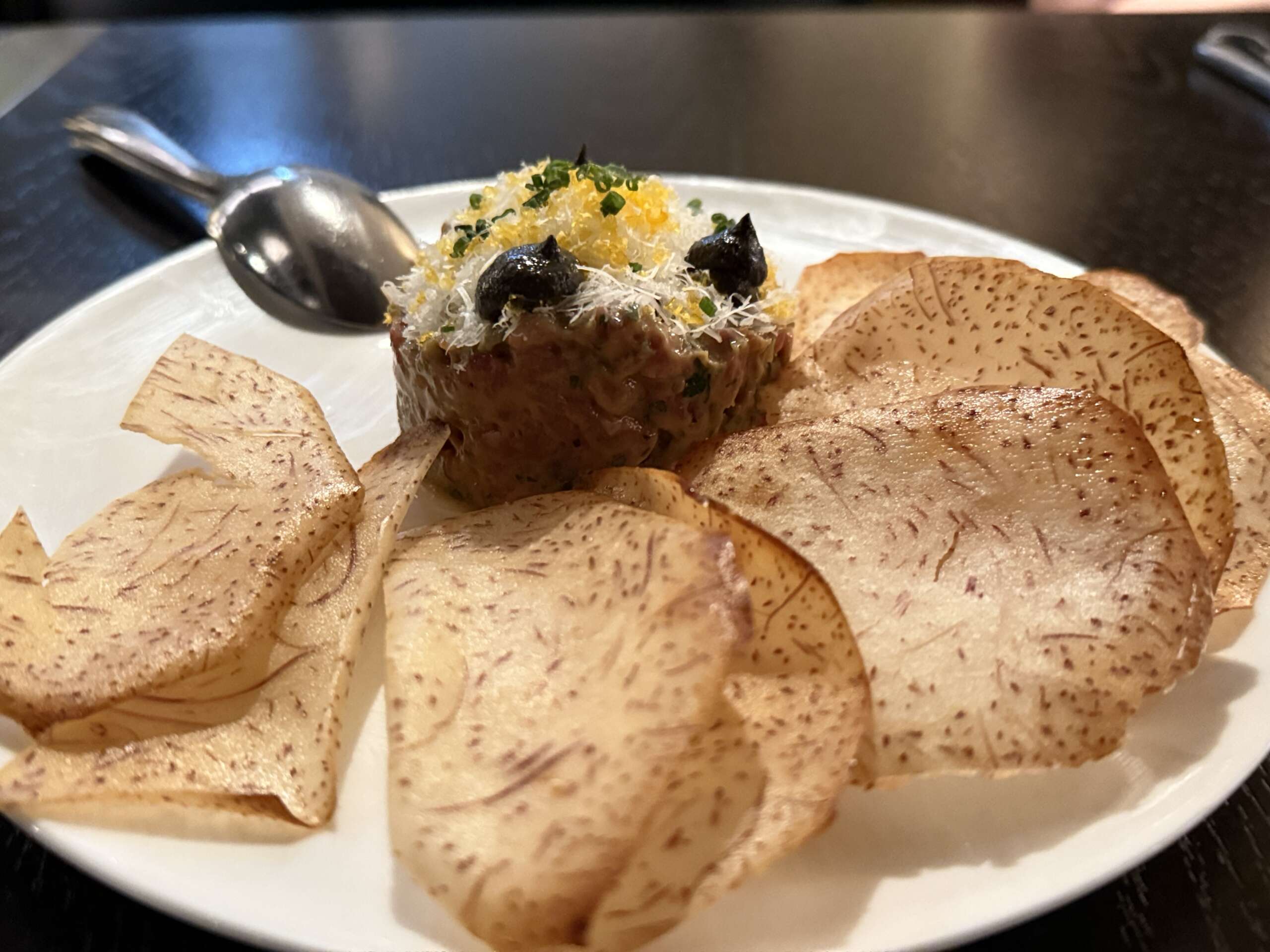 BLACKBIRD, MELBOURNE