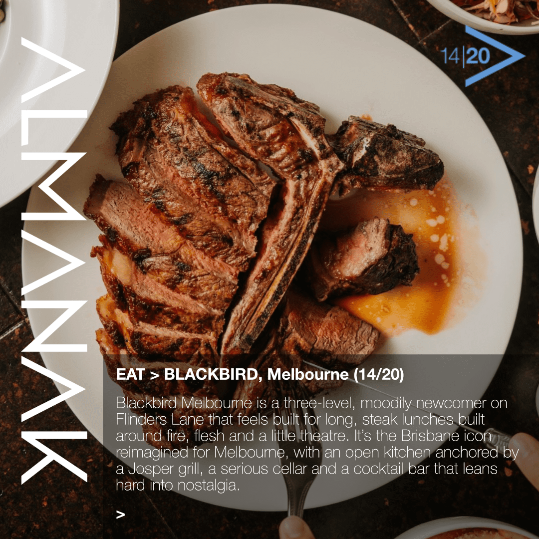 BLACKBIRD, MELBOURNE